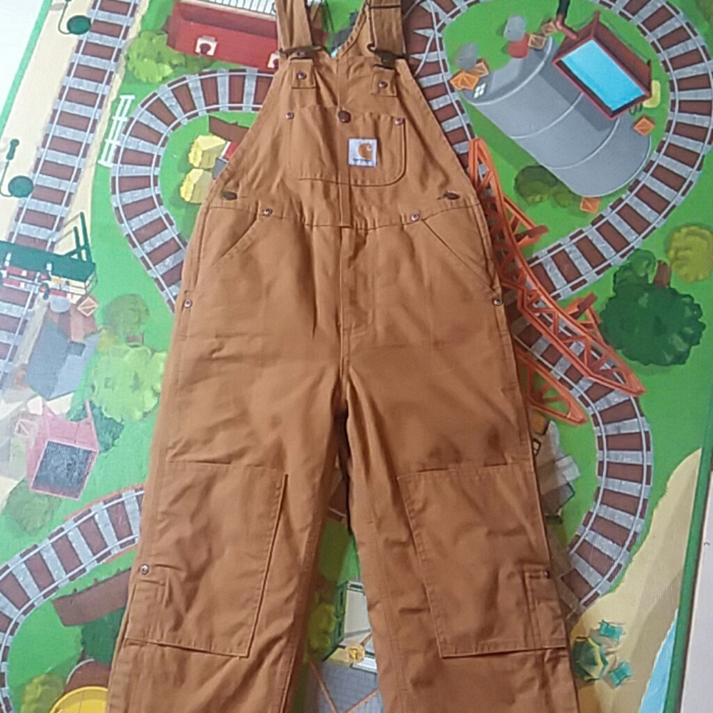 Carhartt Overall lined legs